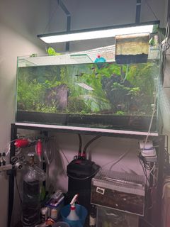 (Category: ) located in . Submitted by marfeen (Listing ID 1442448960, Image 1). Description: .