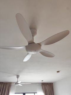 (Category: ) located in . Submitted by jedilompiah (Listing ID 1442539773, Image 1). Description: .