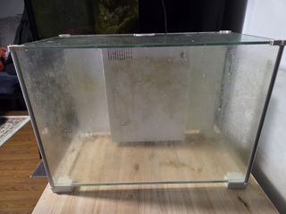 (Category: ) located in . Submitted by fifi.fifi (Listing ID 1442370423, Image 1). Description: .