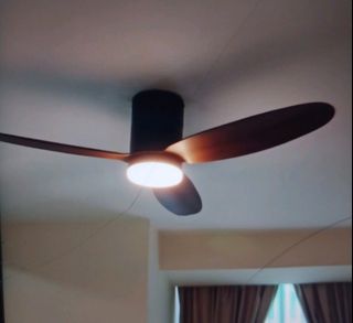 (Category: ) located in . Submitted by rahman.md23031987 (Listing ID 1442387876, Image 1). Description: .