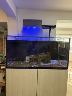 (Category: ) located in . Submitted by lyyyyql (Listing ID 1442444760, Image 1). Description: .