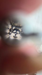(Category: ) located in . Submitted by j_melody2 (Listing ID 1442374823, Image 1). Description: .