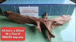 (Category: ) located in . Submitted by driftwood_hiasan (Listing ID 1442412234, Image 1). Description: .