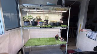 (Category: ) located in . Submitted by spino (Listing ID 1442433775, Image 1). Description: .
