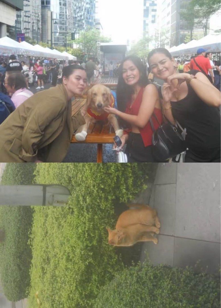 NIKON COOLPIX s2600 (swipe for sample shots) (Category: Cameras) located in Manila. Submitted by liilyyreadss (Listing ID 1442388116, Image 3). Description: Crossposted on my Facebook account INCLUSION: - camera - battery - charger - pouch - memory card ISSUE: preview button not working .