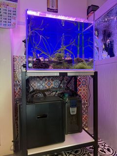 (Category: ) located in . Submitted by marcus1489 (Listing ID 1442361183, Image 1). Description: .