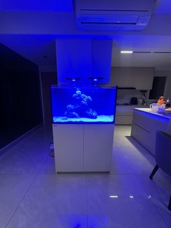 (Category: ) located in . Submitted by edenongj73766 (Listing ID 1442466668, Image 1). Description: .