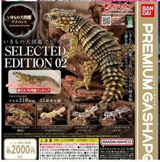 （分類：）位於 。 由 observer3.1416 提交（商品編號 1442408186，圖片 1）。簡介： 。