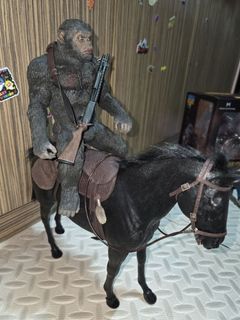 (Category: ) located in . Submitted by toy_stories (Listing ID 1442445559, Image 1). Description: .