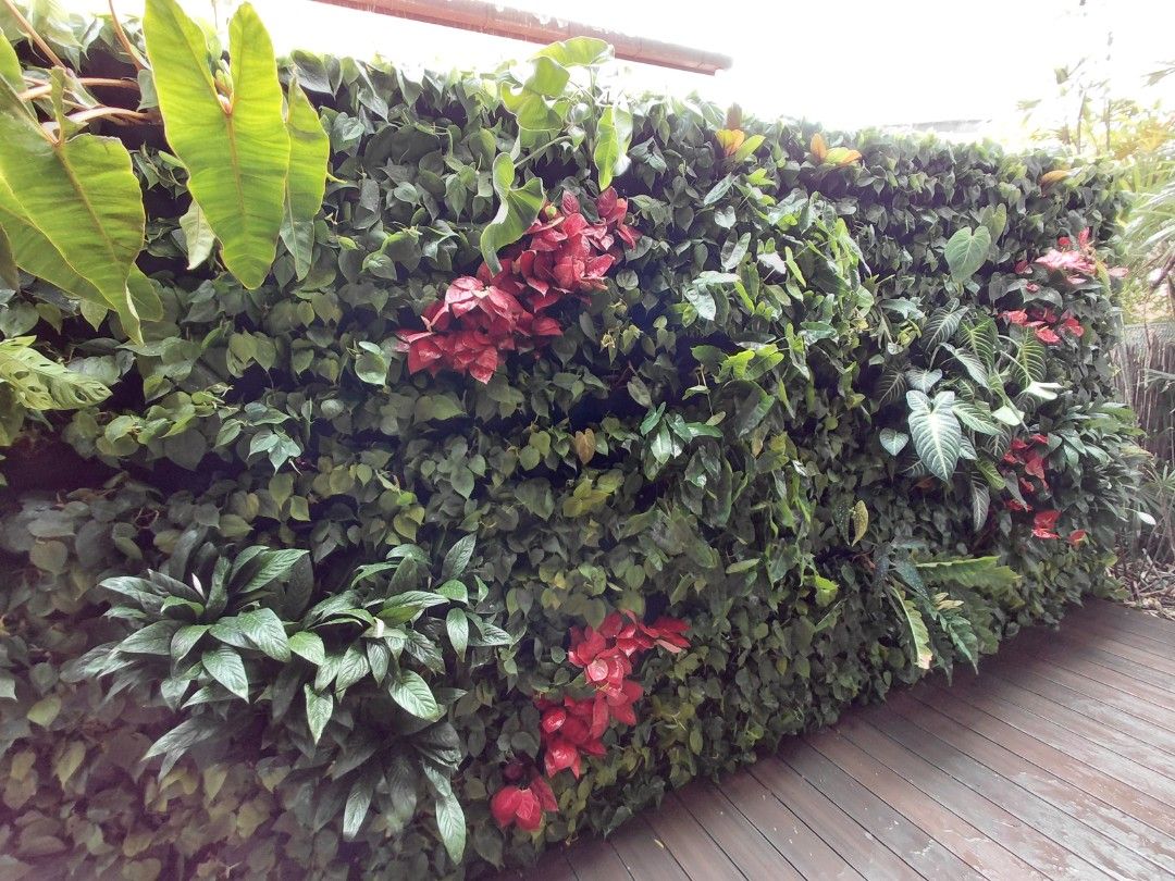 Vertical wall setup (Category: Plants & Seeds) located in Singapore. Submitted by mosscapestudio (Listing ID 1442541665, Image 1). Description: Looking to setup a vertical wall? We provide design and setup for both indoor and outdoor features. Send us a photo of your space to discuss..