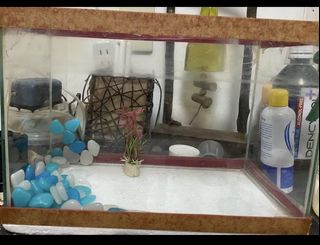 (Category: ) located in . Submitted by fjsta_ana (Listing ID 1442727079, Image 1). Description: .