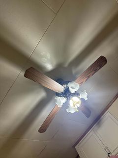 (Category: ) located in . Submitted by her_shey (Listing ID 1442656677, Image 1). Description: .