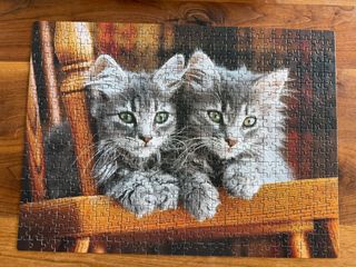 (Category: ) located in . Submitted by kelloh (Listing ID 1442585019, Image 1). Description: .