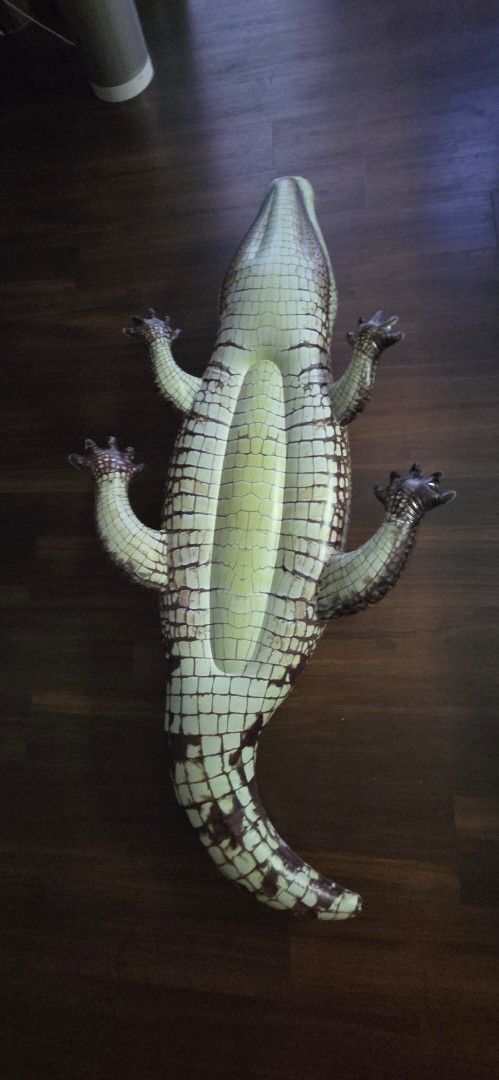 Crocodile float (Category: Water Sports) located in Singapore. Submitted by shinnyone (Listing ID 1442568653, Image 2). Description: .