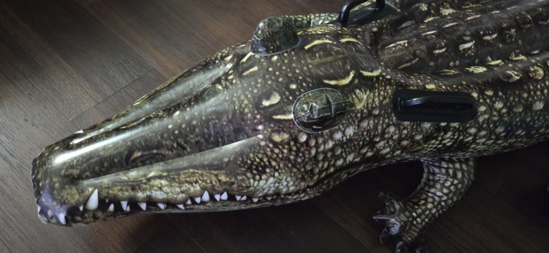 Crocodile float (Category: Water Sports) located in Singapore. Submitted by shinnyone (Listing ID 1442568653, Image 3). Description: .