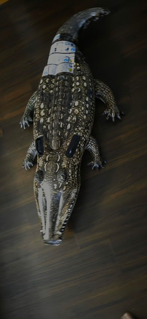 Crocodile float (Category: Water Sports) located in Singapore. Submitted by shinnyone (Listing ID 1442568653, Image 1). Description: .