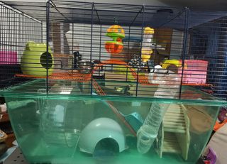 (Category: ) located in . Submitted by yolande273 (Listing ID 1442652888, Image 1). Description: .