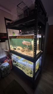 (Category: ) located in . Submitted by celedonscarlett (Listing ID 1442614278, Image 1). Description: .