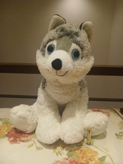 (Category: ) located in . Submitted by cinnamonx4 (Listing ID 1442639061, Image 1). Description: .