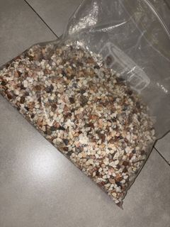 (Category: ) located in . Submitted by 03043 (Listing ID 1442575871, Image 1). Description: .