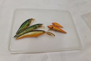 (Category: ) located in . Submitted by fishingsg (Listing ID 1442697805, Image 1). Description: .