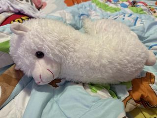(Category: ) located in . Submitted by bold.keendragon (Listing ID 1442568766, Image 1). Description: .