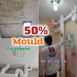 Mould Treatment  Collection item 2