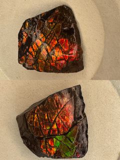 （分類：）位於 。 由 Fluffyhse 提交（商品編號 1442834766，圖片 1）。簡介： 。