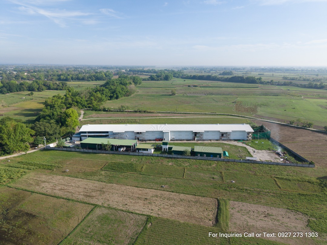 (Category: ) located in . Submitted by albertofarresfarmmanagement (Listing ID 1442743663, Image 1). Description: .