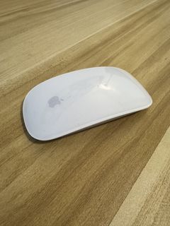 Apple Magic Mouse487201982602946560