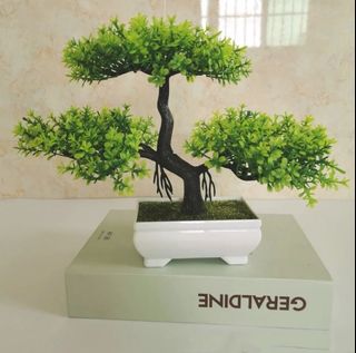 (Category: ) located in . Submitted by megoods (Listing ID 1442790416, Image 1). Description: .