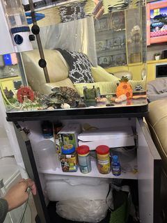 (Category: ) located in . Submitted by mila1212 (Listing ID 1442850524, Image 1). Description: .