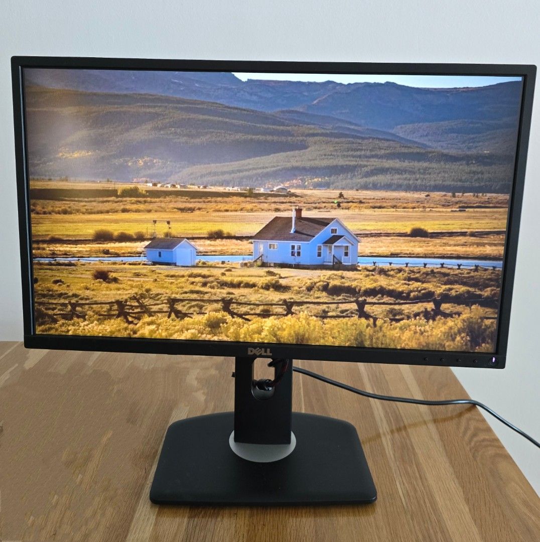 Dell Monitor