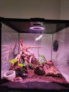 (Category: ) located in . Submitted by farizomar (Listing ID 1442805171, Image 1). Description: .