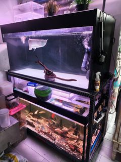 (Category: ) located in . Submitted by zealpenguin.75d992 (Listing ID 1442834707, Image 1). Description: .
