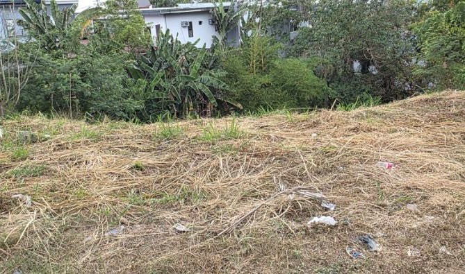 (Category: ) located in . Submitted by brokermariz (Listing ID 1442752514, Image 1). Description: .