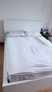 （分類：）位於 。 由 alli1997 提交（商品編號 1442879498，圖片 1）。簡介： 。