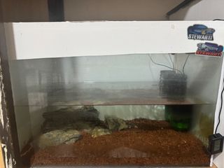 (Category: ) located in . Submitted by 06zzzz (Listing ID 1442762043, Image 1). Description: .