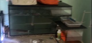 (Category: ) located in . Submitted by saputri8 (Listing ID 1447033149, Image 1). Description: .