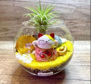 (Category: ) located in . Submitted by lushglassdoor (Listing ID 1446960748, Image 1). Description: .