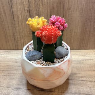 (Category: ) located in . Submitted by lushglassdoor (Listing ID 1446966932, Image 1). Description: .