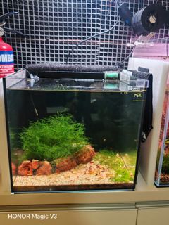 (Category: ) located in . Submitted by danwhat (Listing ID 1447066783, Image 1). Description: .