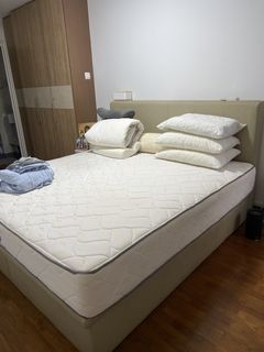 (Category: ) located in . Submitted by mzgreatdeals (Listing ID 1447017336, Image 1). Description: .