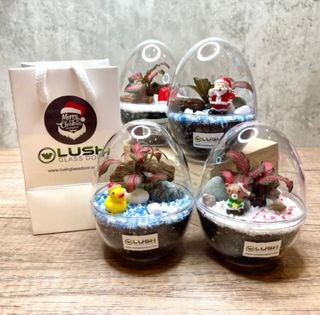 (Category: ) located in . Submitted by lushglassdoor (Listing ID 1446960336, Image 1). Description: .