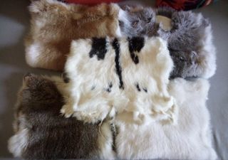 (Category: ) located in . Submitted by Ahmadcollection_on_7 (Listing ID 1447106034, Image 1). Description: .