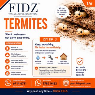 Termites Exterminator  Collection item 3