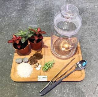 (Category: ) located in . Submitted by lushglassdoor (Listing ID 1446942209, Image 1). Description: .