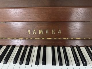 （分類：）位於 。 由 chelseash 提交（商品編號 1446925857，圖片 1）。簡介： 。
