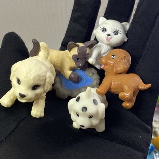 (Category: ) located in . Submitted by jms_prgs (Listing ID 1448864982, Image 1). Description: .