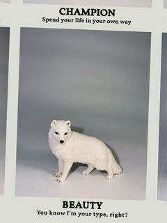由 graychick (刊登 ID 1448751398，圖片 1) 提交，位於 的 (類別：)，說明：。